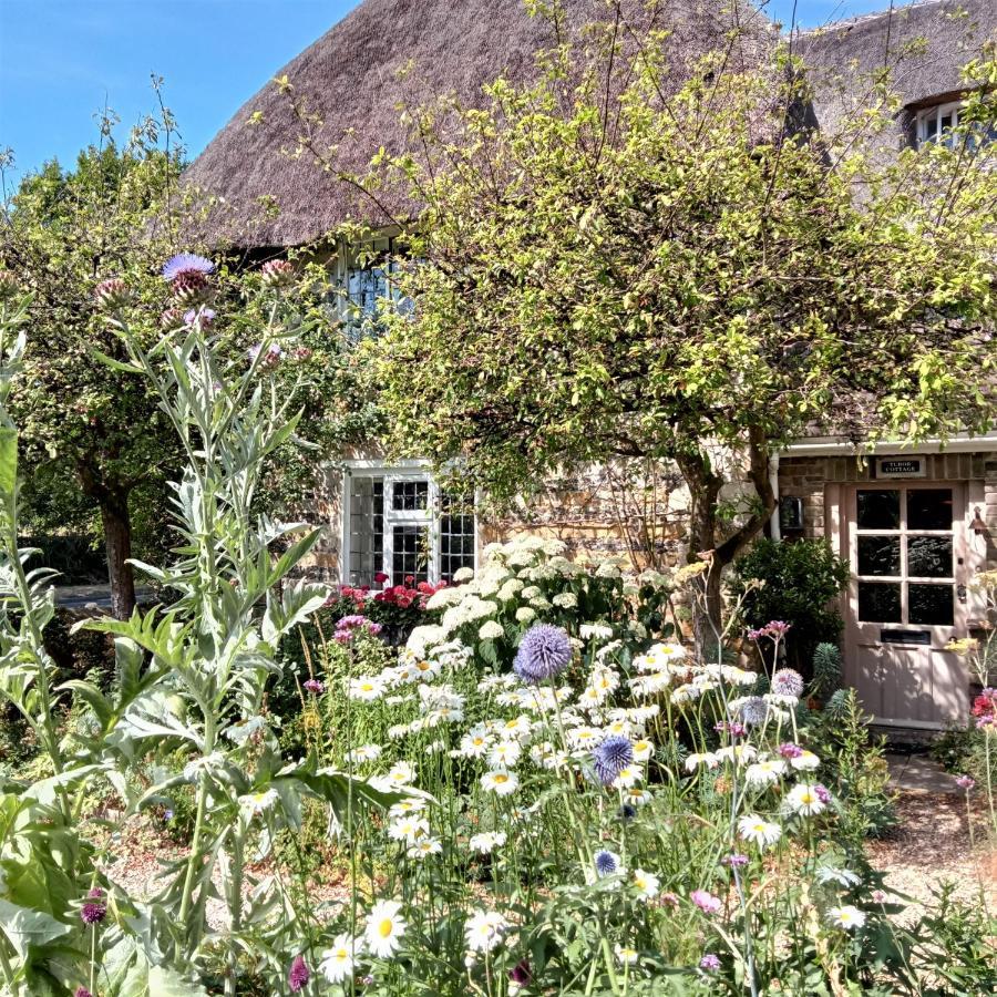 Tudor Cottage B&B Frampton Exterior photo