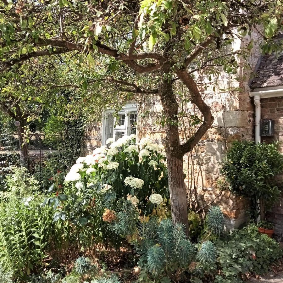 Tudor Cottage B&B Frampton Exterior photo
